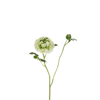 4A Ranonkel Kunstbloem x7 | Kleur: Lichtgroen | Ranunculus kunstbloemen | Lengte ± 60 centimeter | Per 6 kunstbloemen