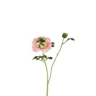 4A Ranonkel Kunstbloem x7 | Kleur: Lichtroze | Ranunculus kunstbloemen | Lengte ± 60 centimeter | Per 6 kunstbloemen