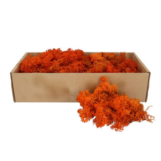 4A Gepreserveerd Rendiermos | Kleur: Oranje | Droogdecoratie | Gewicht 400 - 500 gram | Per doosje
