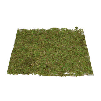 4A Dried Square Moss Mat | Colour: Green | Dried Decoration | Diameter 28 centimetres | Per piece