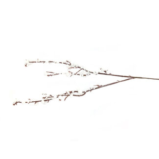 4A Bessen Tak Bracea Kunstbloem | Kleur: Naturelle Wit | Lengte ± 30 centimeter | Per 5 takken