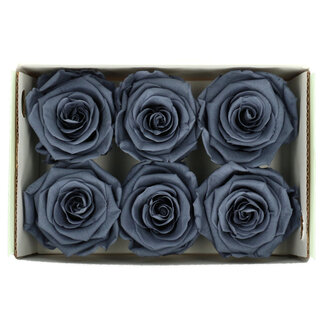 4A Konservierte Rose | Farbe: Grau | Trockenblumendekoration | Durchmesser 6 Zentimeter | Pro 6 Rosen