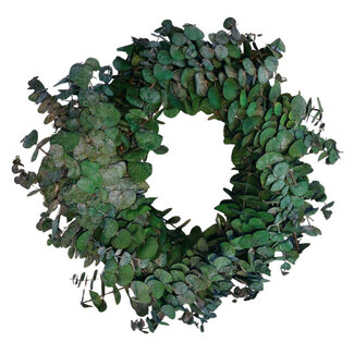 4A Preserved Eucalyptus Baby Wreath | Colour: Green | Diameter 35 centimetres | Per wreath