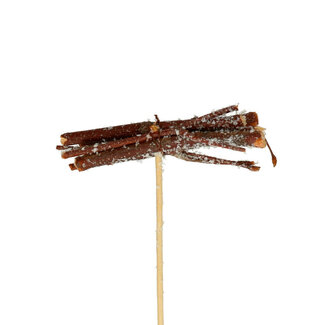 4A Willow-Stecker | Farbe: Braun | Durchmesser 8 Zentimeter | Länge des Steckers ± 50 Zentimeter | Pro 25 Stecker