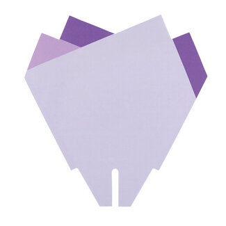 4A Magnolienhüllen | Farbe: Lavendel | Länge 33 Zentimeter | Breite 33 Zentimeter | Pro 50 Hüllen