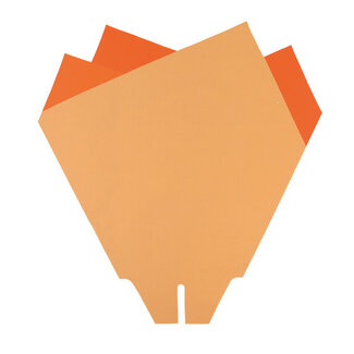 4A Hoezen Magnolia | Kleur: Oranje | Lengte 33 centimeter | Breedte 33 centimeter | Per 50 hoezen