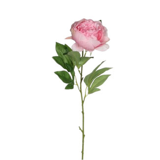 4A Peony Artificial Flower | Colour: Pink | Length ± 76 centimetres | Per 12 artificial flowers