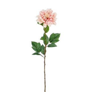 4A Dahlia Artificial Flower | Colour: Light Pink | Length ± 75 centimetres | Per 12 artificial flowers