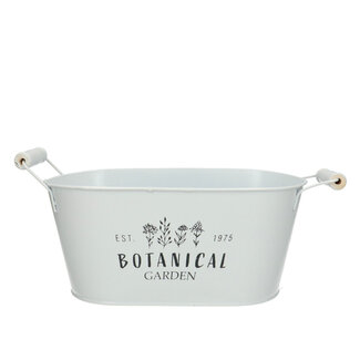 4A Zinktopf Blumentopf Pflanzentopf „Botanical“ | Farbe: Natürlich Weiß | Höhe 10,5 Zentimeter | Länge 24 Zentimeter | Breite 14 Zentimeter | Pro 10 Töpfe