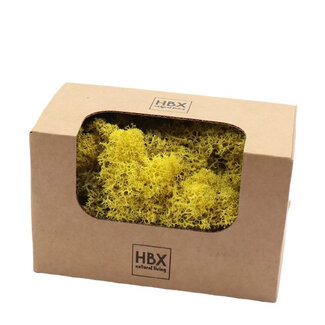 4A Preserved Reindeer Moss | Colour: Yellow | Dried Decoration | Weight 50 grams | Per box