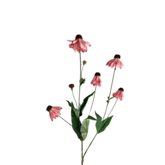4A Coneflower Artificial Flower | Colour: Pink | Echinacea Purpurea artificial flowers | Length ± 65 centimetres | Per 10 artificial flowers