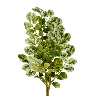 4A Ficus Artificial Greenery | Colour: Green White | Length ± 70 centimetres | Per 10 branches