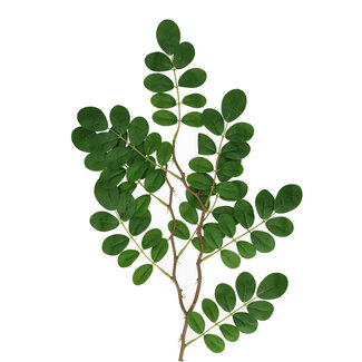 4A Ficus Tak Kunstgrün | Farbe: Grün | Länge ± 65 Zentimeter | Pro 10 Zweige