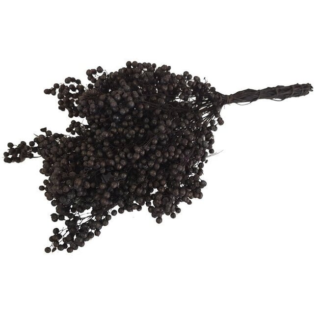 Black Schinus - Pepper Berries Dry Decoration | Length ± 35 centimetres | Weight ± 150 grams