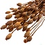Orange Papaver Somniferum dried flowers | Length ± 65 centimetres | Weight ± 200 grams