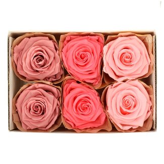 4A Preserved Rose | Colour: Pink | Dried Decoration | Diameter 6 centimetres | Per 6 roses