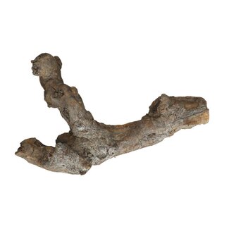 4A Dried Kuwa Root | Colour: Grey | Dried Decoration | Length 25 - 30 centimetres | Per root