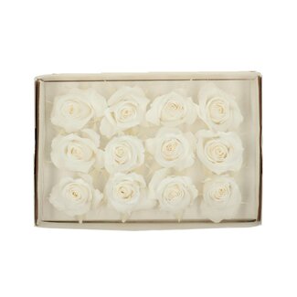 4A Preserved Rose | Colour: Ivory | Dried Decoration | Diameter 4 centimetres | Per 12 roses