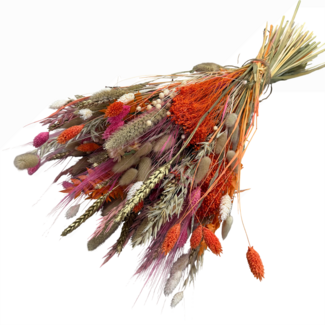 MyFlowers Boeket droogbloemen Eagerness by Emma | Lengte ± 65 centimeter | Met roze en oranje droogbloemen