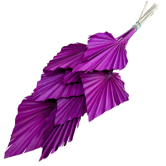 Paarse Palm Spear takken | Lengte ± 50 centimeter | Per 10 takken