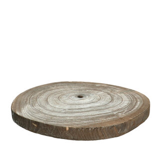 4A Dried Wood Slice Apollonia Dried Decoration | Colour: Brown | Diameter 40 centimetres | Per wood slice