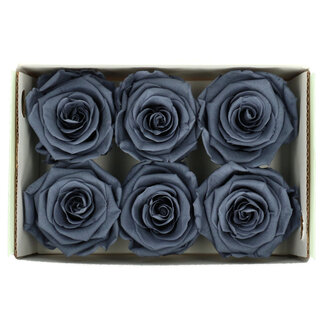 4A Gepreserveerde Roos | Kleur: Grijs | Droogdecoratie | Diameter 6 centimeter | Per 6 rozen
