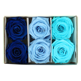 4A Gepreserveerde Roos | Kleur: Blauw | Droogdecoratie | Diameter 6 centimeter | Per 6 rozen