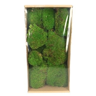 4A Preserved Moss | Colour: Green | Size 7 - 15 centimetres | Contents 10 pieces | Per box