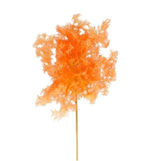 4A Cotinus Artificial Flower | Colour: Salmon | Smoke Tree Artificial Flower | Length ± 70 centimetres | Per 4 artificial flowers