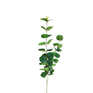 4A Eucalyptus Artificial Flower | Colour: Green | Length ± 80 centimetres | Per 10 stems