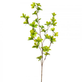 4A East Indian Cress Artificial Greenery | Colour: Green | Tropaeolum artificial flowers | Length ± 90 centimetres | Per 6 stems