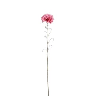 4A Nelken Kunstblume | Farbe: Dunkelrosa | Dianthus Kunstblumen | Länge ± 66 Zentimeter | Pro 12 Kunstblumen