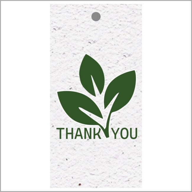 Bio Label Card with English text “Thank you” | Colour: White Green | Width 5 centimetres | Height 10 centimetres | Per 10 labels