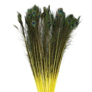 4A Peacock Feathers | Colour: Yellow | Length 100 centimetres | Per 10 feathers