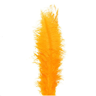 4A Ostrich Feathers | Colour: Orange | Length 55 centimetres | Per 5 feathers