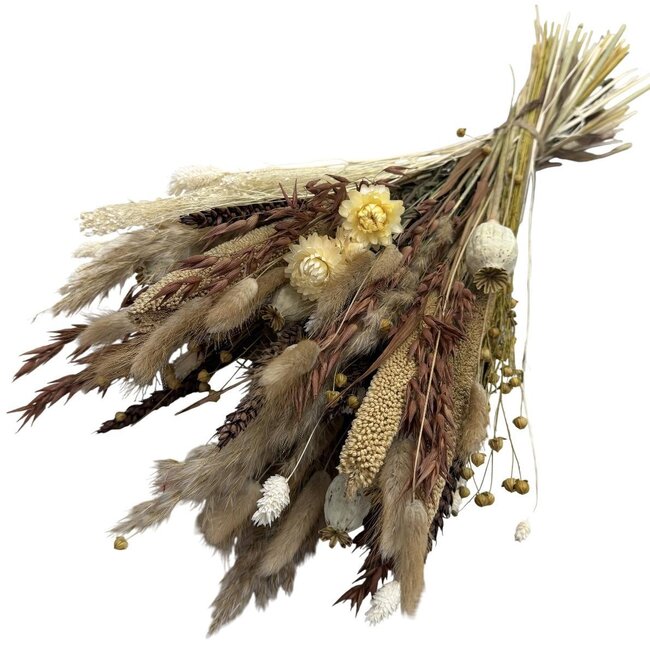 Boeket droogbloemen Maria | Lengte ± 65 centimeter | Met naturelle, bruine en wit gebleekte droogbloemen