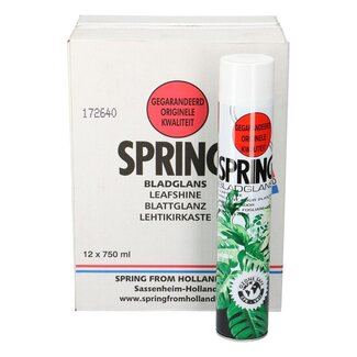 4A Verzorging Spring Bladglans | CFK vrij | Inhoud 750 milliliter | Per 12 spuitbussen