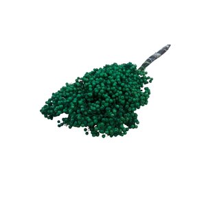 Dutch Dried Grüner Schinus - Pfefferbeeren Trockenblumendekoration | Länge ± 35 Zentimeter | Gewicht ± 150 Gramm
