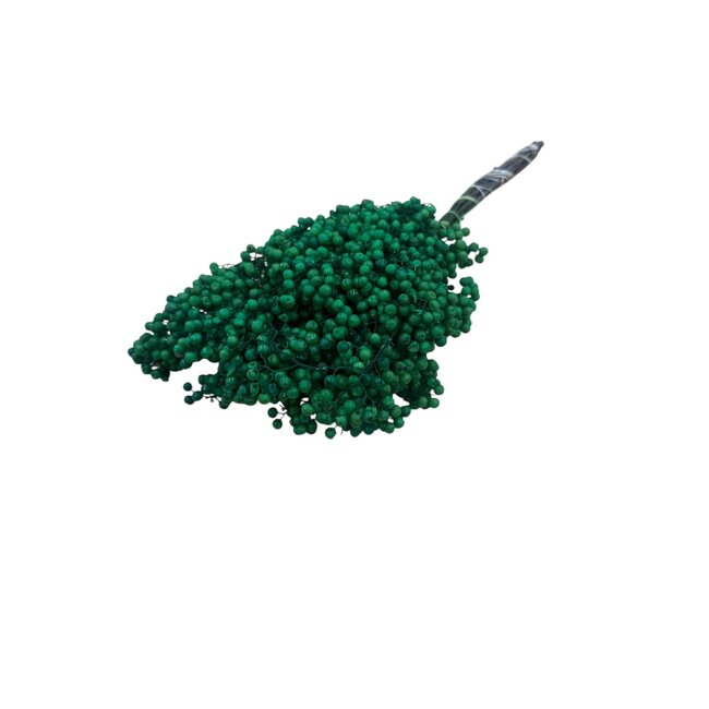 Grüner Schinus - Pfefferbeeren Trockenblumendekoration | Länge ± 35 Zentimeter | Gewicht ± 150 Gramm