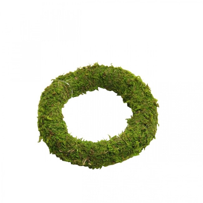 Moss Wreaths | Colour: Green | Diameter 10 centimetres | Per 12 wreaths