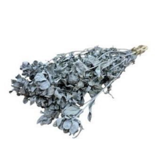 Dutch Dried Grey Carthamus dried flowers | Length ± 65 centimetres | Per 10 stems