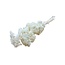 White bleached Achillea Filipendulina dried flowers | Length ± 65 centimetres | Weight ± 100 grams