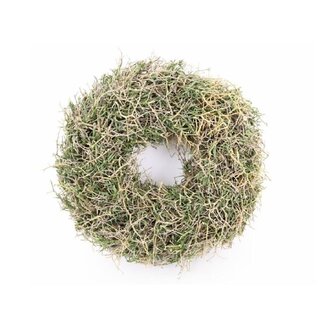 4A Iron Bush Kranz | Farbe: Grün | Durchmesser 23 Zentimeter | Pro Kranz