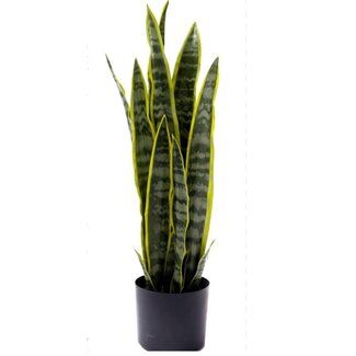 4A Sansevieria Artificial Plant in pot | Colour: Green | Diameter 16 centimetres | Height 68 centimetres | Per Sansevieria