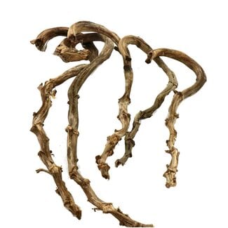 4A Banana Sticks Branches | Colour: Brown | Dried Decoration | Per 5 branches