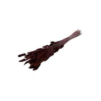 Casa Alegria Brown Lagurus dried flowers | Length ± 65 centimetres | Weight ± 100 grams