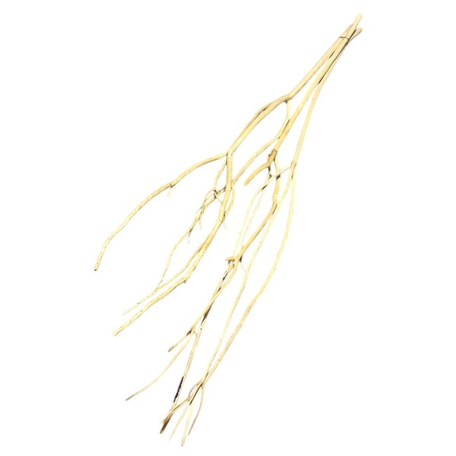 Natural Mutsumata Yanagi branches | Length ± 115 cm | Per 3 branches