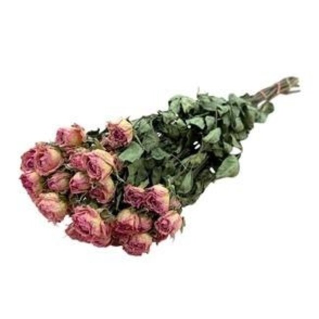 Roses en grappes séchées roses | Fleurs séchées Spray Rose | Longueur ± 50 centimètres | Par 10 roses