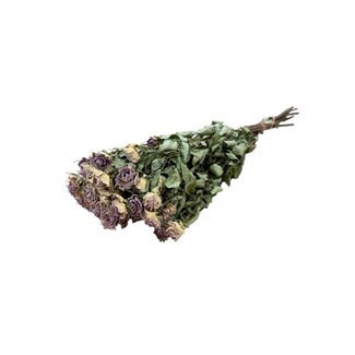DriedRoses.com Lavendel-graue getrocknete Büschelrosen | Spray Rose Trockenblumen | Länge ± 50 Zentimeter | Pro 10 Rosen