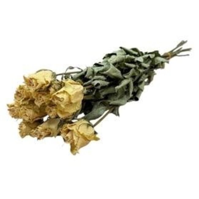 Weiße getrocknete Rosen | Länge ± 50 Zentimeter | Pro 10 Rosen